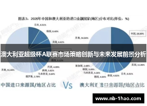 澳大利亚超级杯A联赛市场策略创新与未来发展前景分析