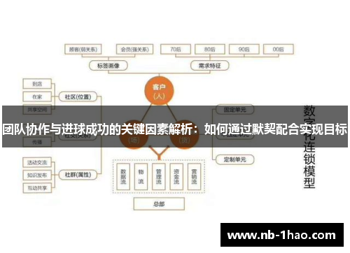 团队协作与进球成功的关键因素解析：如何通过默契配合实现目标