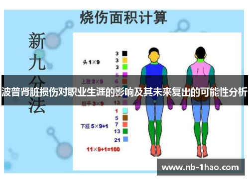 波普肾脏损伤对职业生涯的影响及其未来复出的可能性分析