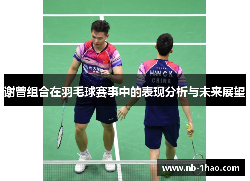 谢曾组合在羽毛球赛事中的表现分析与未来展望