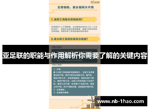 亚足联的职能与作用解析你需要了解的关键内容