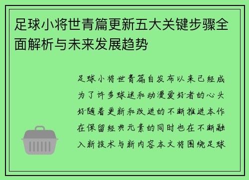 足球小将世青篇更新五大关键步骤全面解析与未来发展趋势