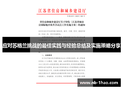 应对苏格兰挑战的最佳实践与经验总结及实施策略分享